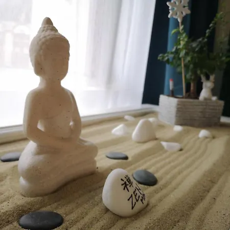 Zen Nature Studio - O Imersiune In Natura *